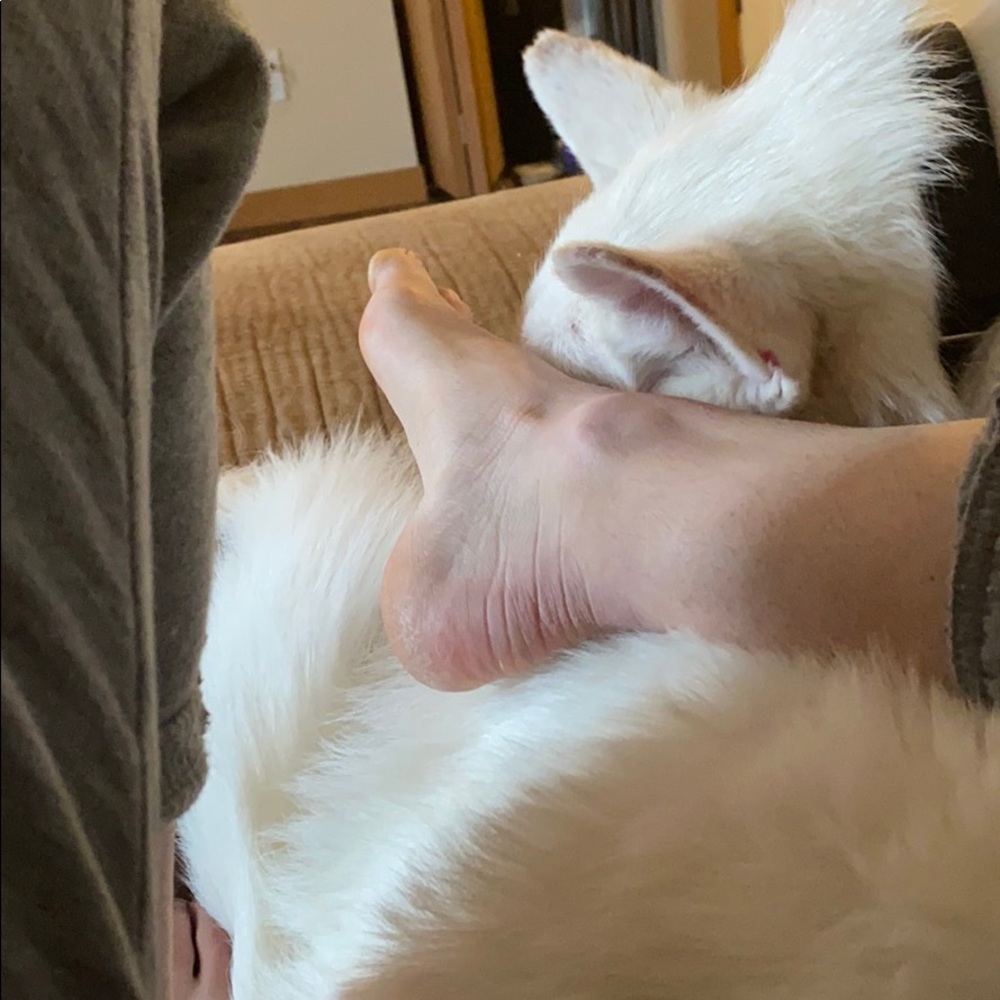 Meet your Posher, Emily westlake